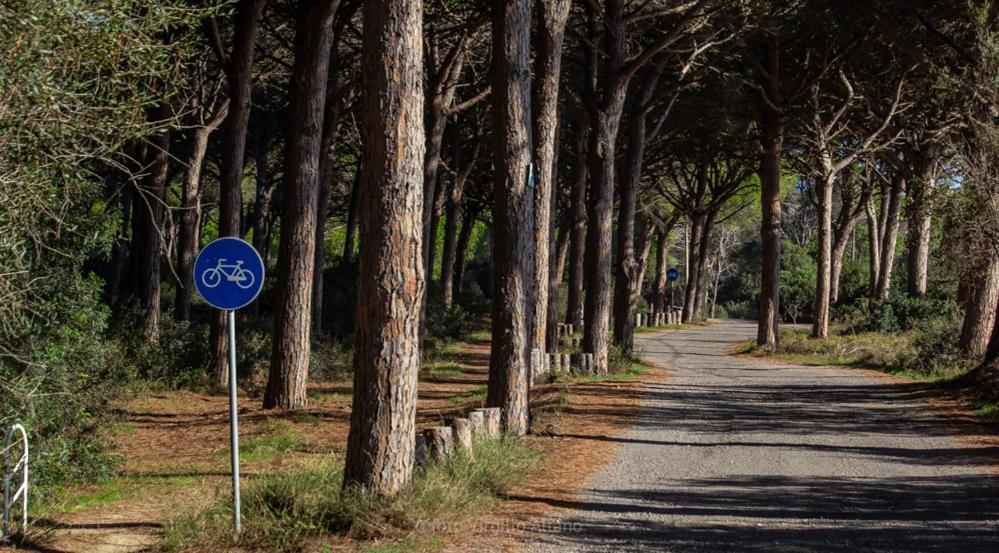 Camping Village S'Ena Arrubia Arborea Exterior foto
