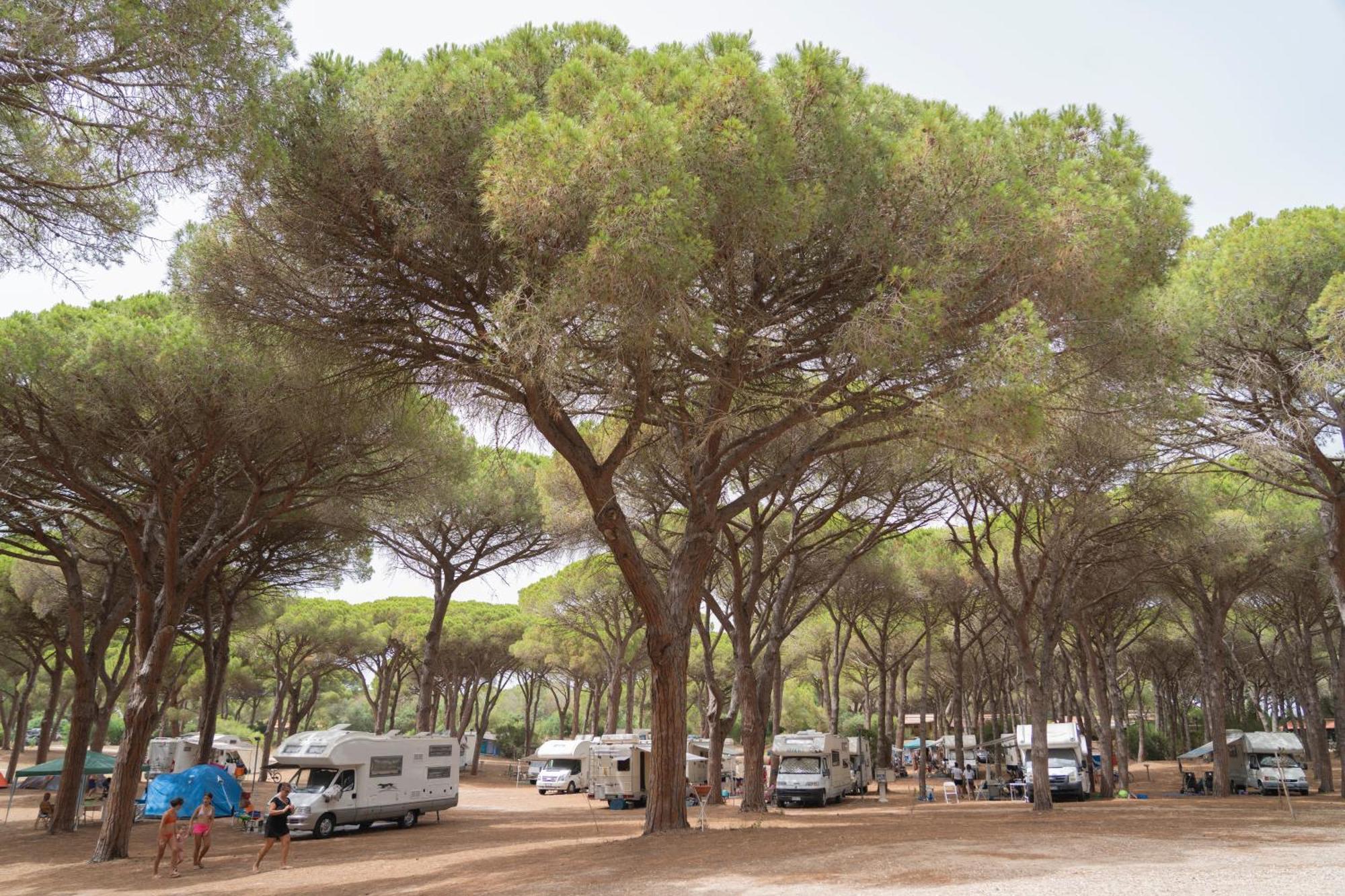 Camping Village S'Ena Arrubia Arborea Exterior foto